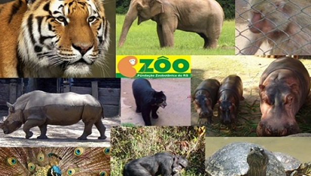zoologico de porto alegre
